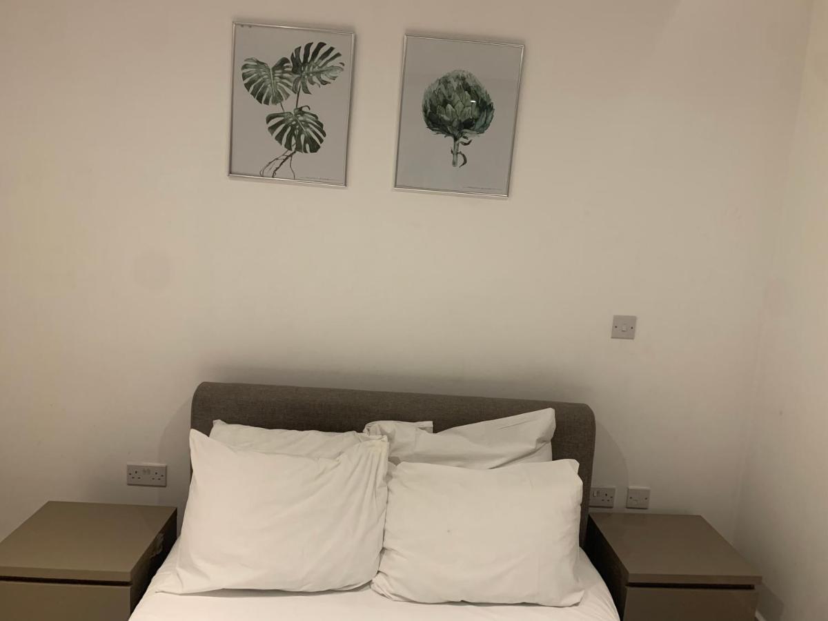 2 Bedroom 2 Bath 1 Ensuite In Roya Asenal Beautiful Views & Parking 伦敦 外观 照片